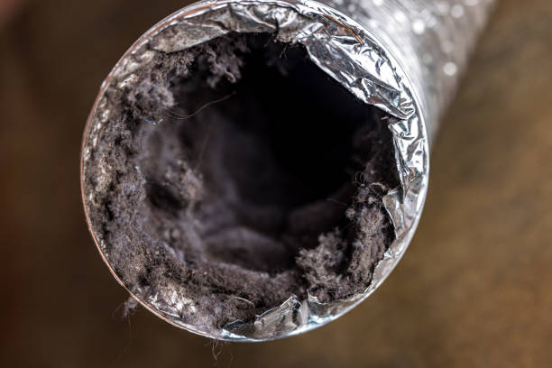 Best Air Duct Sanitizing Services  in Myrtle Grove, FL