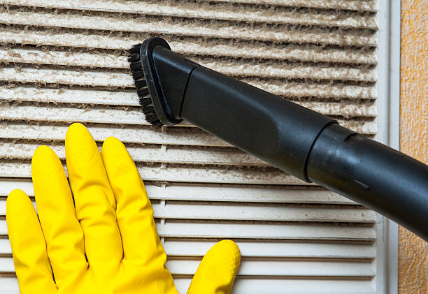 Best Professional Duct Cleaning Services  in Myrtle Grove, FL